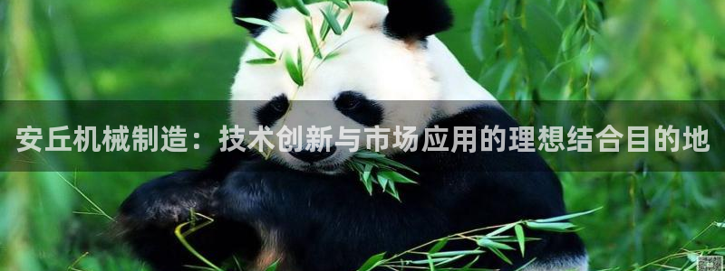 摩根娱乐老lb板50820