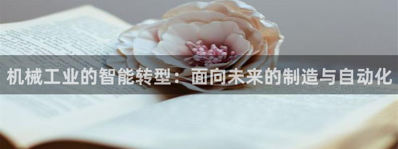 摩根娱乐宝平台下载
