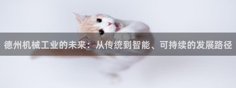 摩根大通黄金娱乐目标价