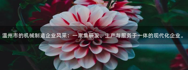 摩根娱乐宝官网百度
