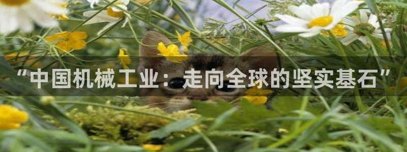 摩根娱乐首页