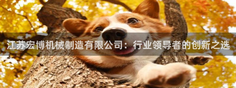 娱乐解说摩根王者荣耀