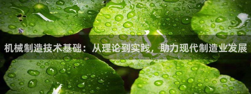 摩根娱乐宝怎么赚钱的