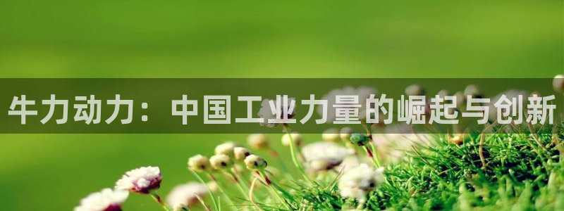 摩根娱乐创始人