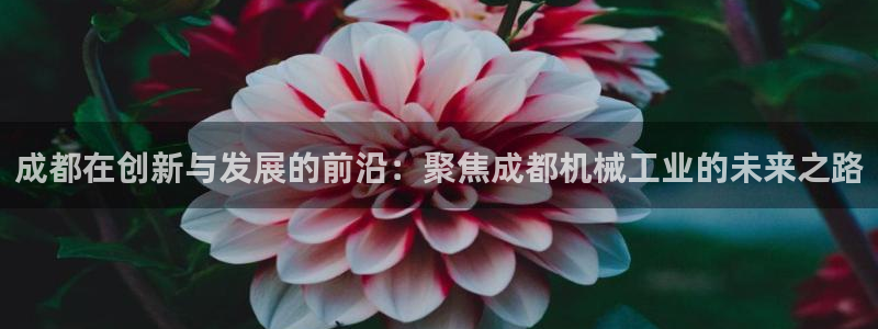 摩根娱乐50186加