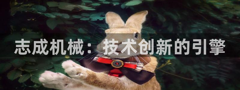 摩根娱乐开户 总s管50015