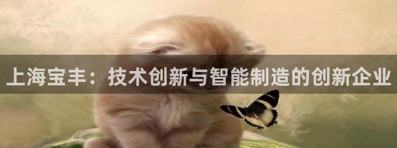 摩根娱乐部