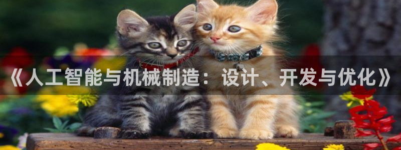 摩根娱乐50186叩杨