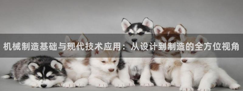 摩根 娱乐宝诈骗