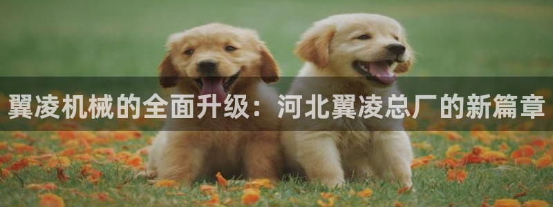 泉州摩根会娱乐保安招聘