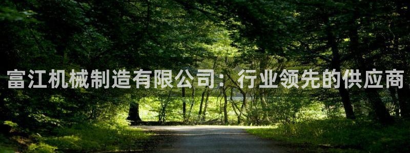 华视娱乐 摩根 王琛