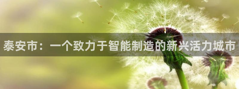 摩根娱乐宝怎么赚钱的