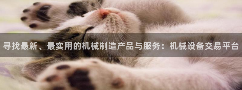 成都摩根娱乐会所