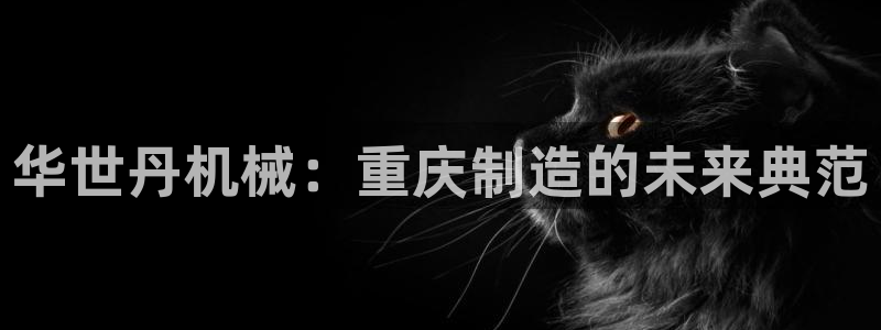 摩根娱乐宝.知道吗