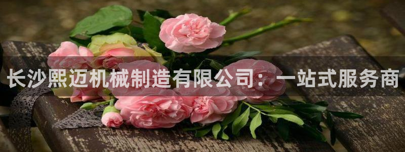 摩根娱乐 股s东50015