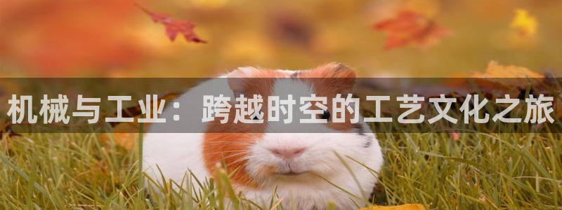 摩根娱乐L老L板50820