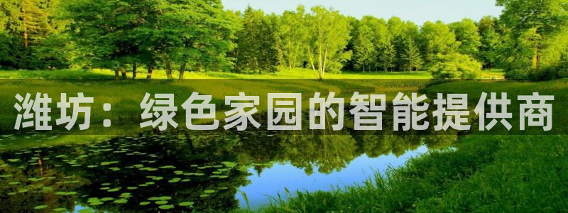 摩根娱乐创始人