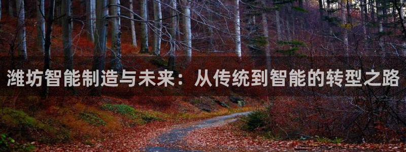 深圳摩根时代娱乐公司