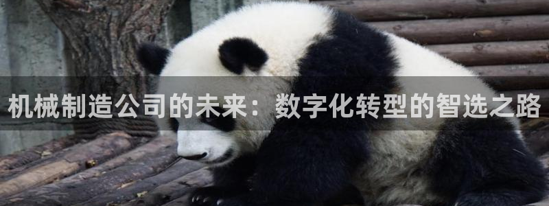 摩根娱乐宝微信客服