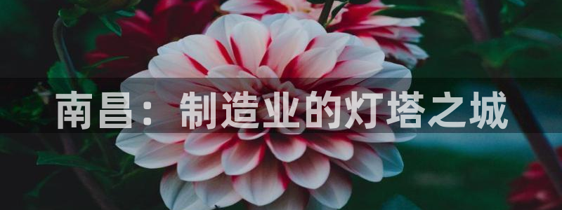 摩根克里克娱乐公司