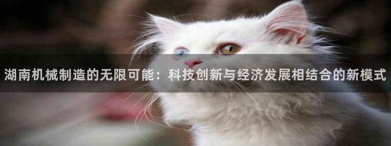 漳州摩根会娱乐