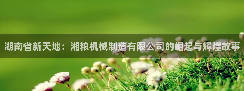 摩根娱乐宝下载