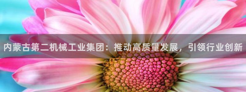 摩根大通投资娱乐公司