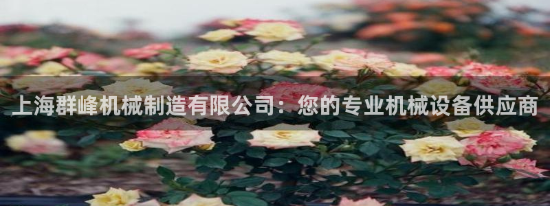 摩根兄弟进军娱乐圈