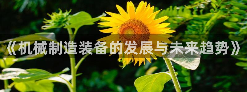 摩根国际娱乐宝官网下载