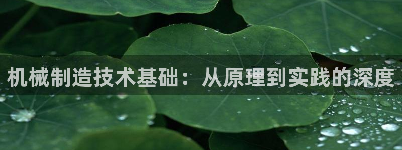 泉州白宫摩根娱乐会所