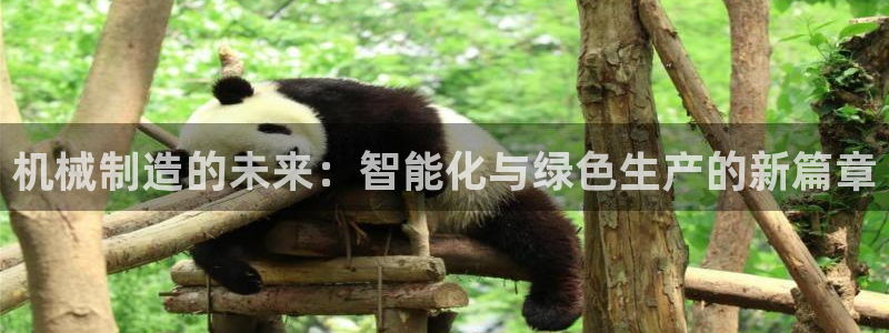 摩根国际娱乐宝合法吗