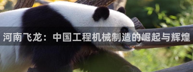 摩根中央公园娱乐