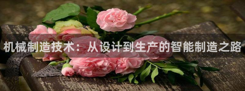 摩根娱乐宝怎样拉下线