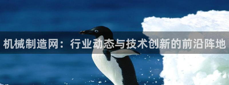 摩根国际娱乐宝