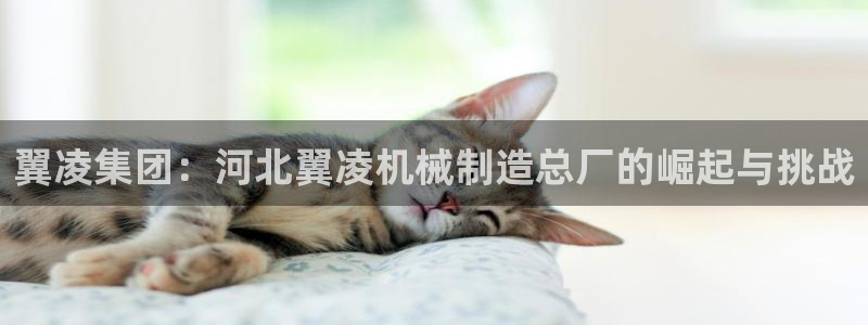 泉州摩根会娱乐场所