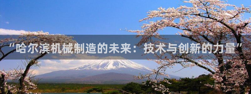 摩根娱乐宝杀单吗