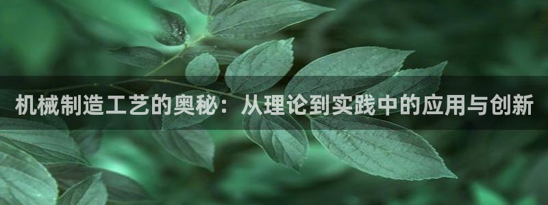 摩根娱乐宝口碑