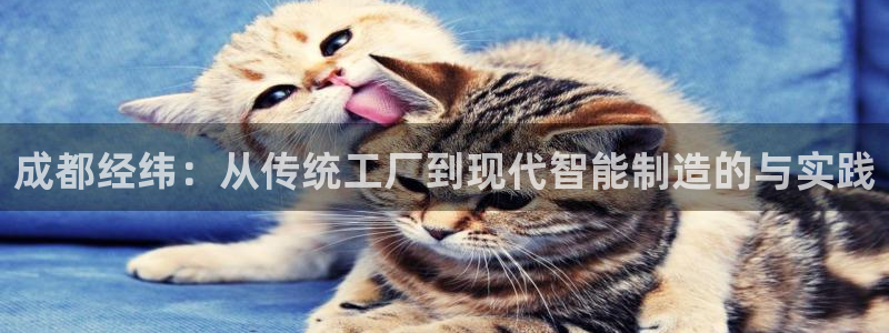 摩根娱乐宝怎么赚钱