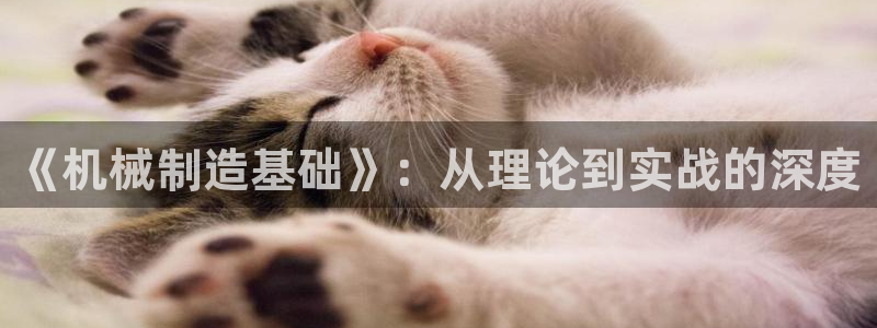 摩根大通收购娱乐公司