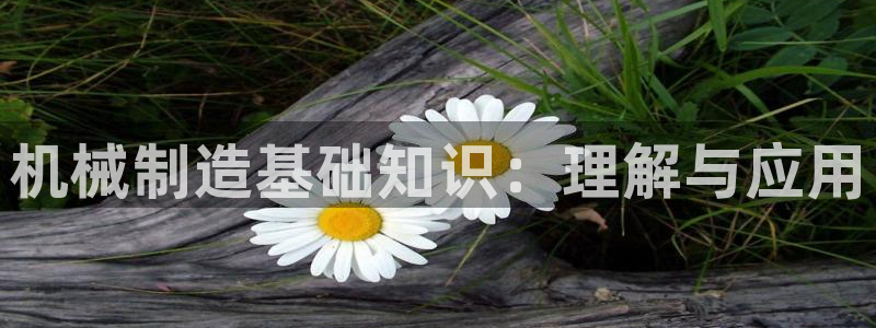 微信里面摩根娱乐宝