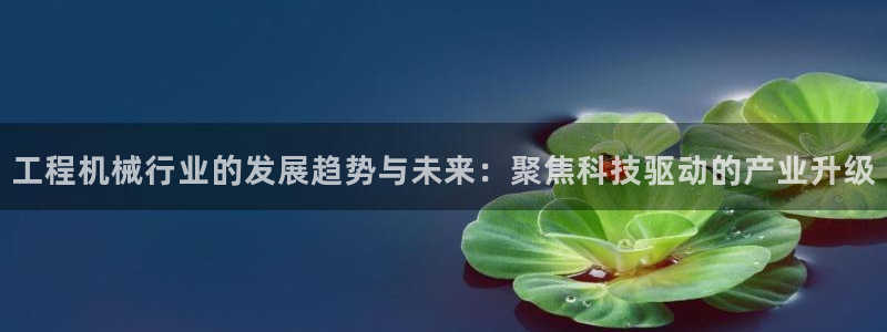 摩根娱乐50186加