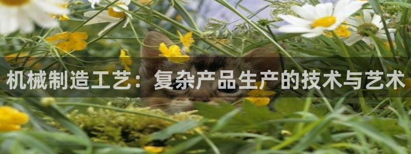 摩根娱乐这个平台怎么样