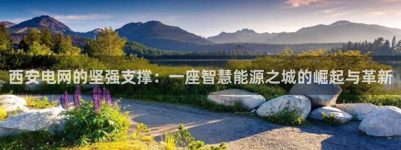 摩根娱乐50186叩