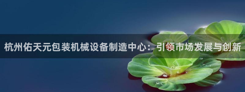 摩根娱乐挂机项目有哪些