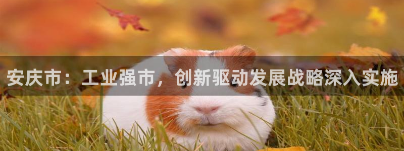 摩根娱乐 总s管50015