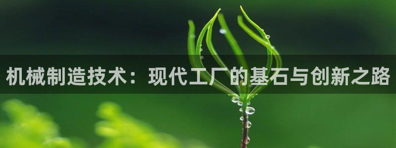 泉州摩根娱乐会所怎么样