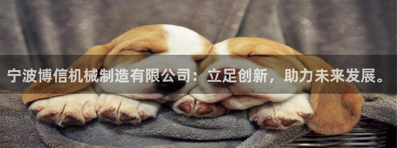 摩根娱乐宝怎么赚钱的