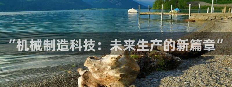 奥飞娱乐摩根调研