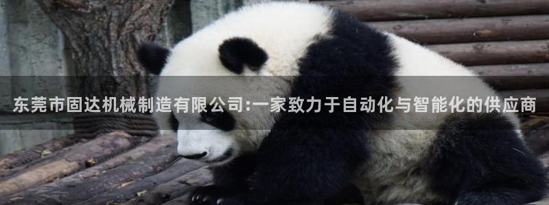 福建泉州白宫摩根会娱乐