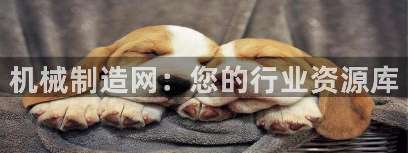 摩根娱乐 F招D商98732